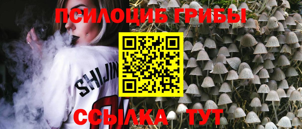 Туймазы  Галлюциногенные грибы Cubensis  Псилоцибиновые грибы Psilocybine cubensis  Вход с VPN 
